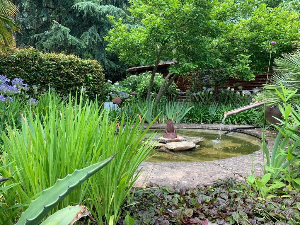 Grande maison en pierre, calme, jardin arboré. Roz-Landrieux Esterno foto
