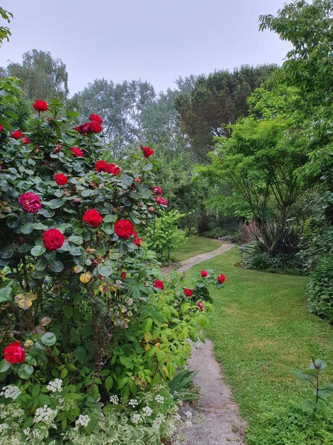 Grande maison en pierre, calme, jardin arboré. Roz-Landrieux Esterno foto