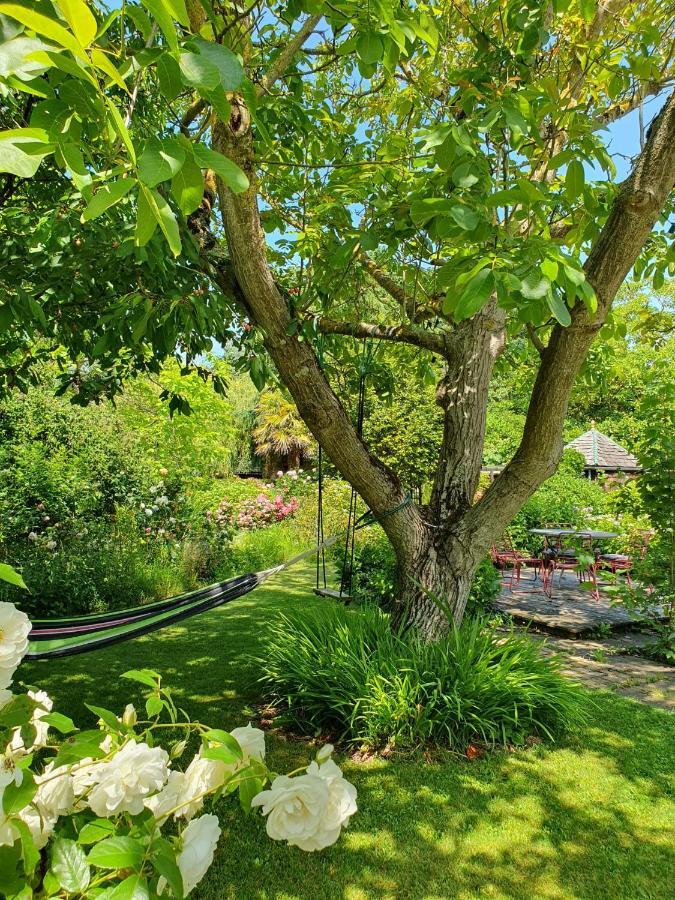 Grande maison en pierre, calme, jardin arboré. Roz-Landrieux Esterno foto